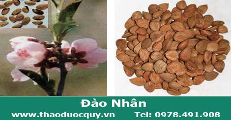 Đào nhân