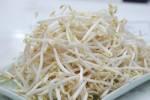 Giá đậu tương giúp cân bằng nội tiết cho phụ nữ