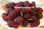 Bài thuốc làm đẹp da từ thảo dược