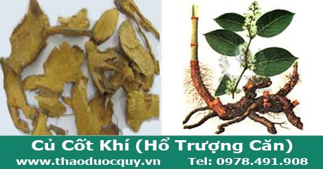 củ cốt kh&iacute;