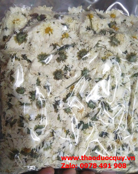 trà hoa cúc trắng