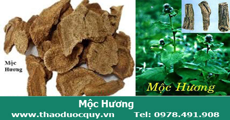 hình ảnh mộc hương