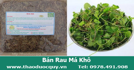 rau m&aacute; kh&ocirc;