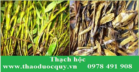 Thạch hộc
