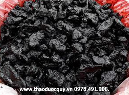 thục địa