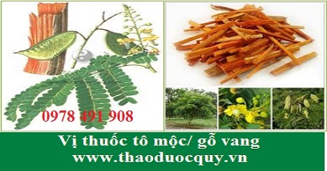 tô mộc