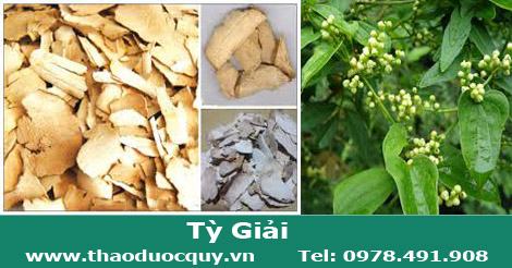 Vị thuốc tỳ giải
